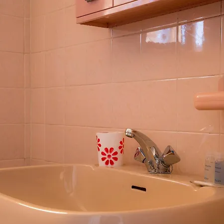 D05 - Amadeus Sunset Mato Porcas