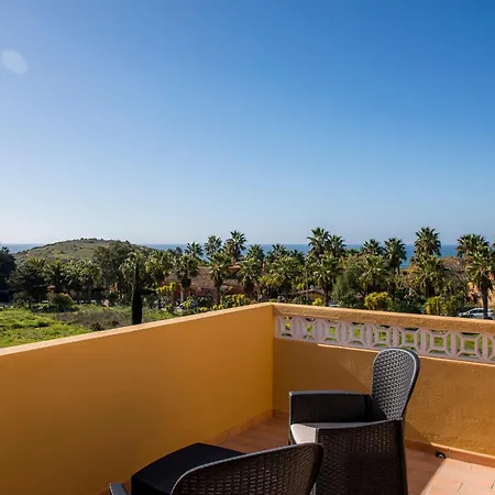 D05 - Amadeus Sunset Mato Porcas