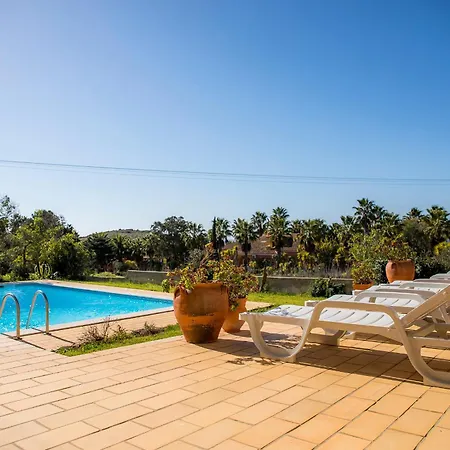 D05 - Amadeus Sunset *