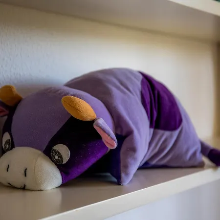 D05 - Amadeus Sunset Mato Porcas