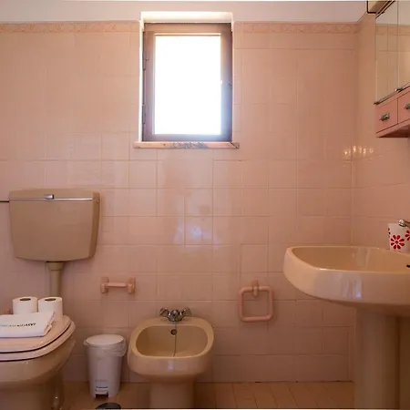 D05 - Amadeus Sunset Mato Porcas