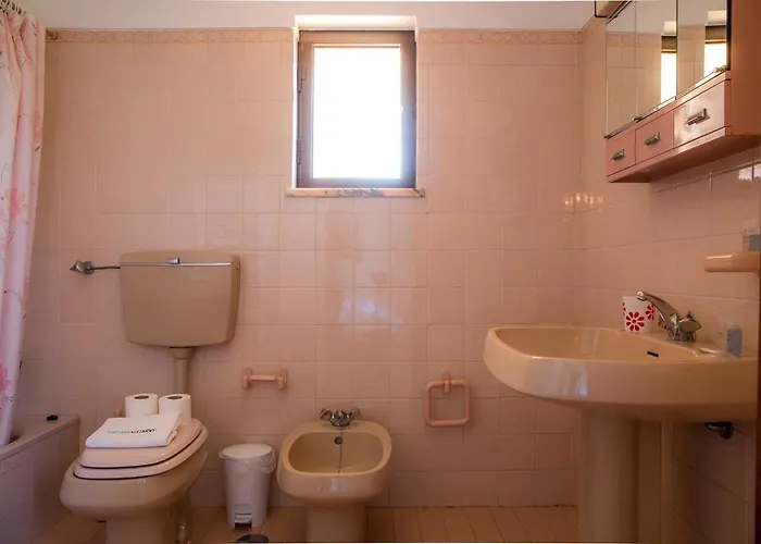 D05 - Amadeus Sunset Mato Porcas