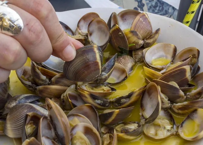 D05 - Amadeus Sunset Mato Porcas